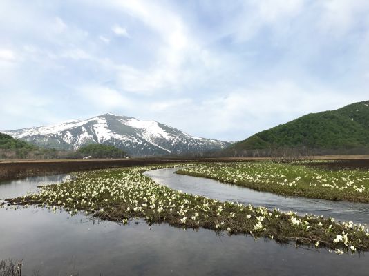 登山部尾瀬_20170531 (5)