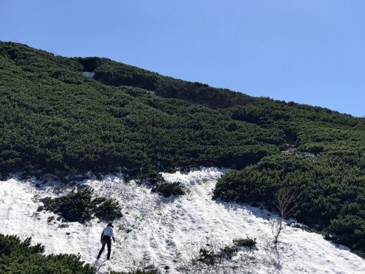 登山部 甲斐駒ケ岳 20170619 (15)