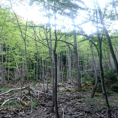 登山部 甲斐駒ケ岳 20170620 (3)