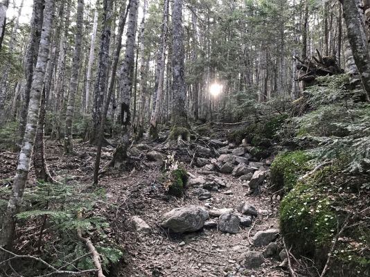 登山部 甲斐駒ケ岳 20170620 (8)a