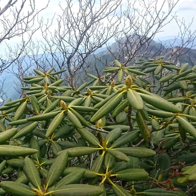 登山部 甲斐駒ケ岳 20170620 (53)