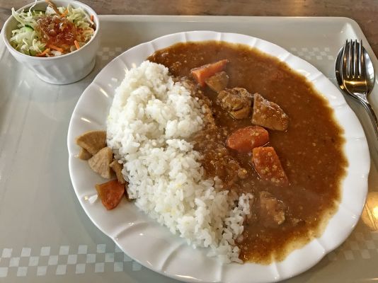 登山部 甲斐駒ケ岳 20170621 (8)