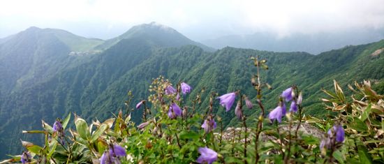 谷川岳 2018.07.03 (82)b