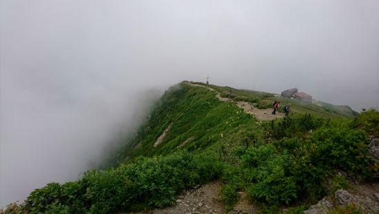 谷川岳 2018.07.03 (138)a