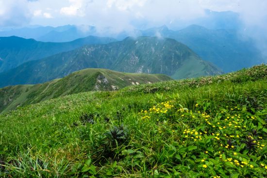 谷川岳 2018.07.03 (167)g