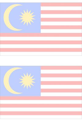 2019 Malaysia国旗 2薄